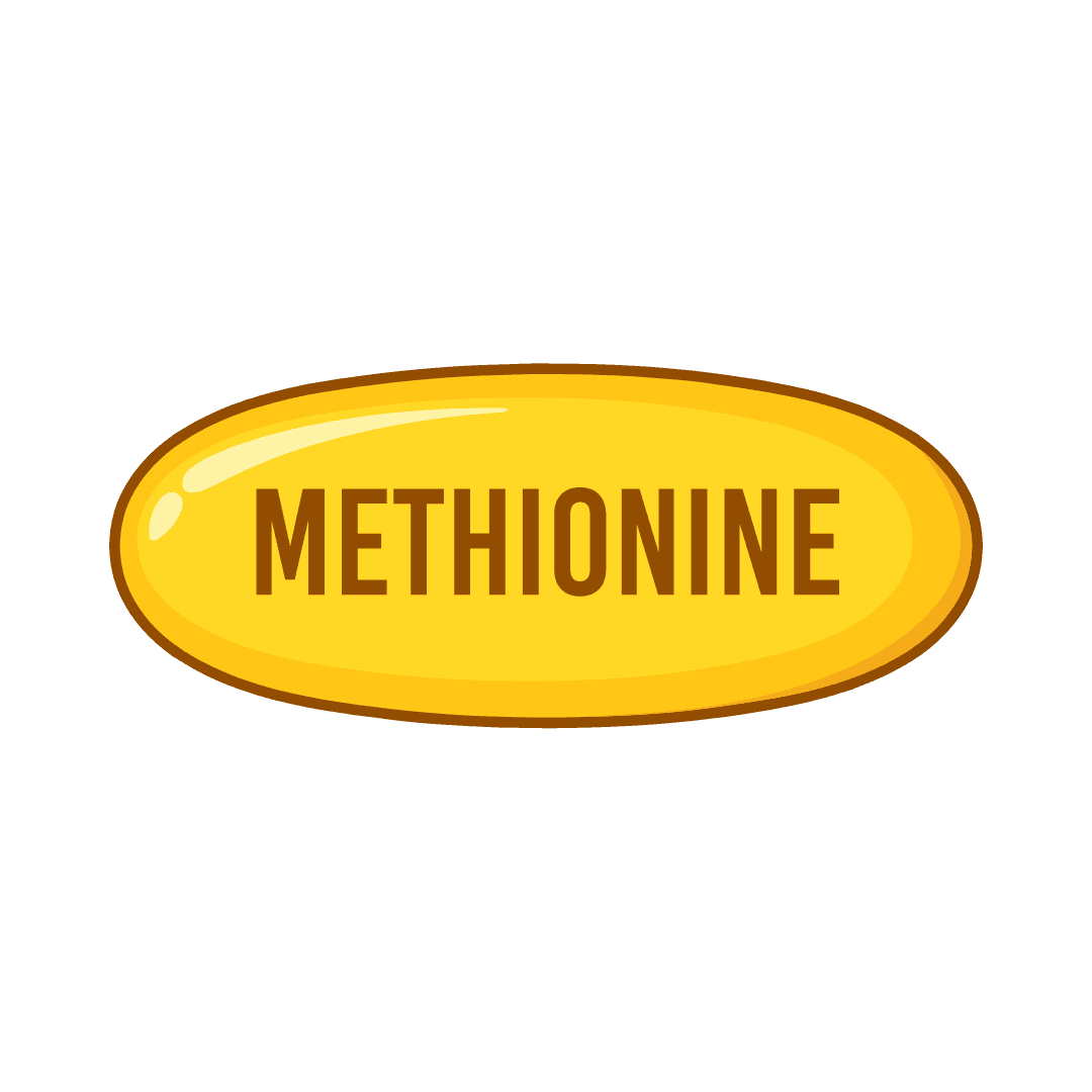 Метионин