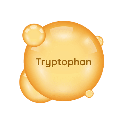Триптофан