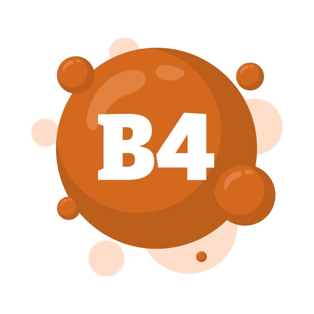 Choline (B4)