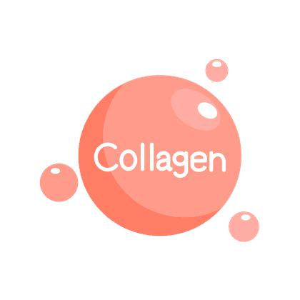 Type V collagen