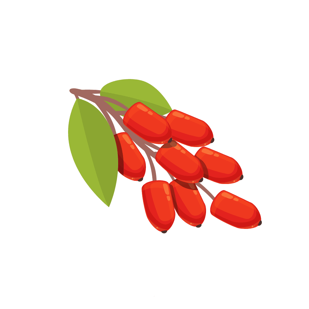 Berberine