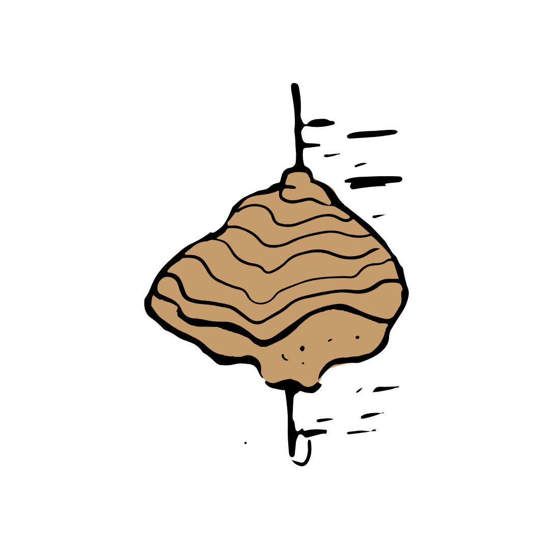 Chaga