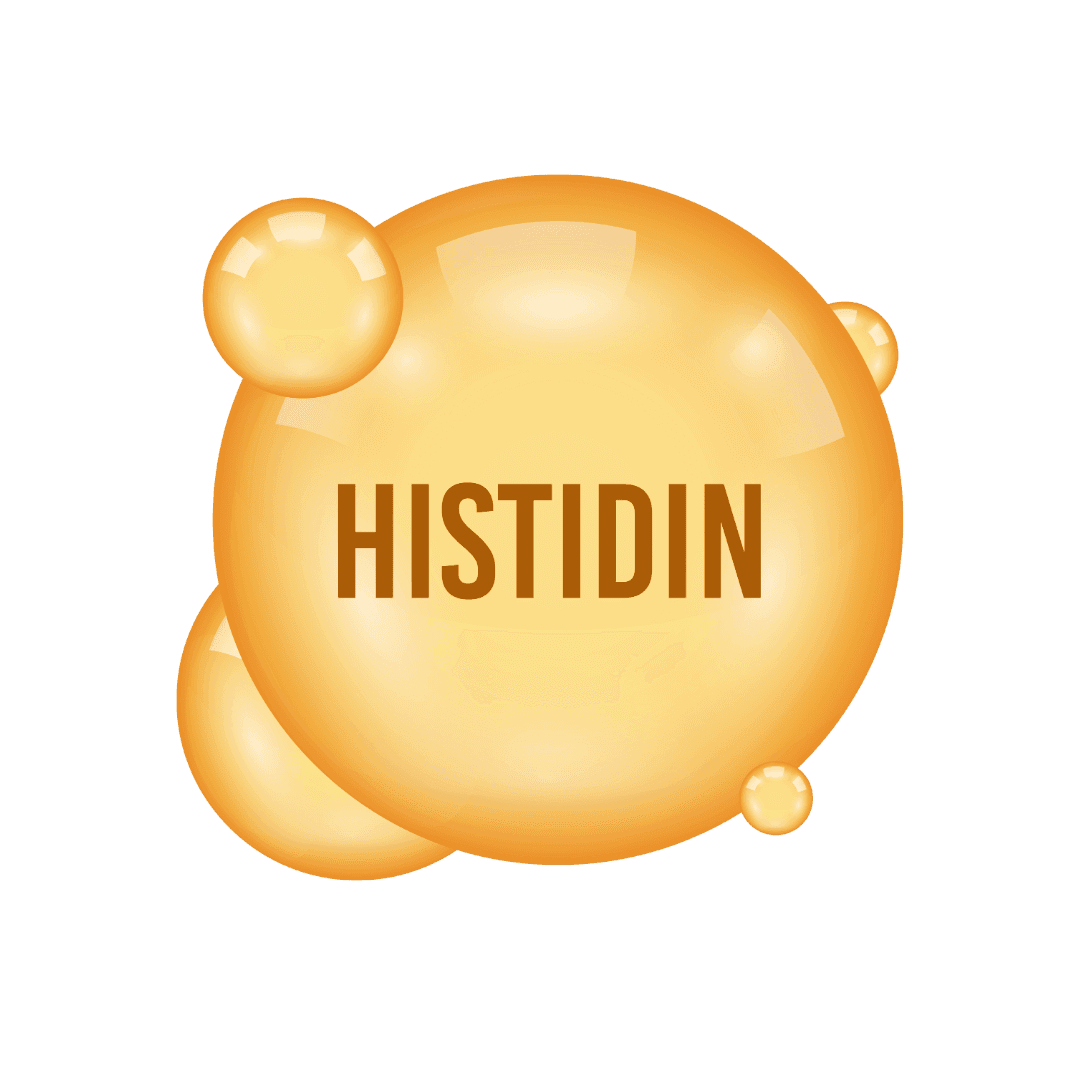 Гистидин