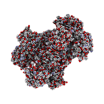 Glucose-6-phosphate dehydrogenase (G6PD)